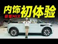 ZEEKR极氪MIX，率先上车，深入宝宝巴士内部！【大家车言论】