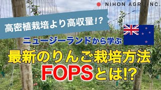 【海外視察】光の利用率90%で高密植栽培より高収量！？ニュージーランドで最新のりんご栽培方法FOPSを学んできた！