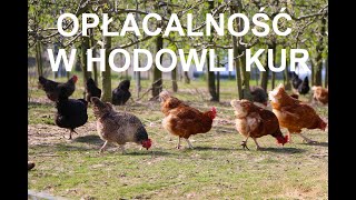 Odcinek 1433 10. PODSTAWY: ZAROBEK Z HODOWLI KUR