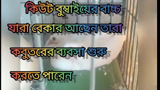 কাকজি এবং বোম্বাই থেকে অরিজিনাল বোম্বাই বাচ্চা আসছে