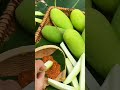 keri mango mangopickle tasty shortsviral shorts short