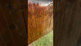 What is the difference between fence staining a fence painting? #fencestaining #diy #fencestain