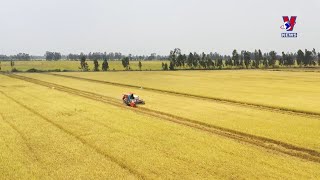 越南大米出口增幅居主要农产品之首