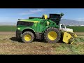 John Deere 9700 and claas 990 chopping wheat 2021