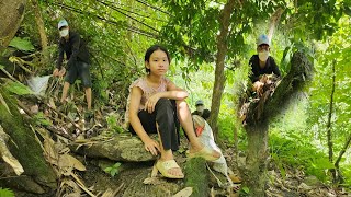 Orphan girl - went to the forest to pick fruit to sell, was stolen by bad guys