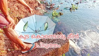 വല്ലവനു പുല്ലും ആയുധം എന്നു പറഞ്ഞപ്പോല [ traditional fishing ]