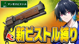 新武器「マンモスピストル縛り」で判明した「新ピストルの性能」のプロの評価は...?【フォートナイト/Fortnite】