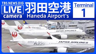 【ライブ】羽田空港 第1ターミナル 現在の様子は？Haneda Airport's Terminal 1| TBS NEWS DIG