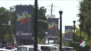 Georgia State rep says Camden County’s proposed tax hike is unjustified
