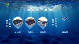 漁電共生結合漁業與綠能 (再生能源廠商) 改善魚塭環境，養殖戶持續養殖