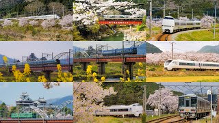 [4K] 桜満開の福知山線と福知山城を背景にした山陰本線の列車たち