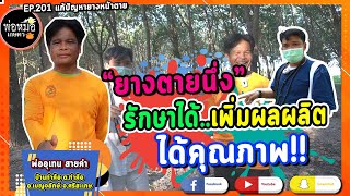 พ่อหมอเกษตร EP.201 ตอน \