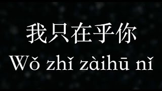 鄧麗君／Teresa Teng：【我只在乎你】時の流れに身をまかせ (KTV with Pinyin)