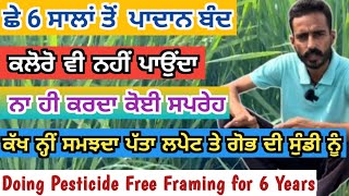 ਨਾ ਪਦਾਨ ਨਾ ਕਲੋਰੋ ਨਾ ਕੋਈ ਜ਼ਹਿਰੀਲੀ ਸਪਰੇਹ 6 ਸਾਲਾਂ ਤੋਂ ਕੱਢ ਰਿਹਾ ਸਭਦੇ ਬਰਾਬਰ ਝਾੜ | One more Idel Farmer