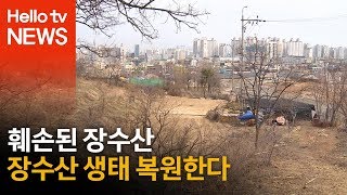 한남정맥의 끝, 훼손된 장수산 복원한다