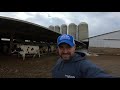 getting our milk hauled off the dairy farm and feeding cattle