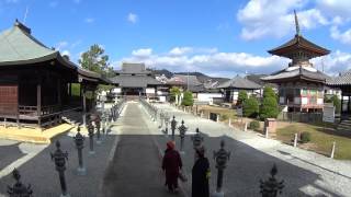 30秒の心象風景8683・山門からお参りする～酒見寺～