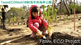 TeamECOWork！＠新潟市西海岸公園【Team ECO Project2023🌱】