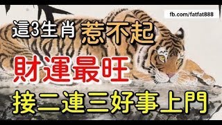 惹不起，這三大生肖財運最旺，接二連三好事上門 - 十二生肖