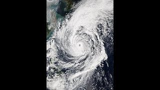 2017年太平洋的所有颱風