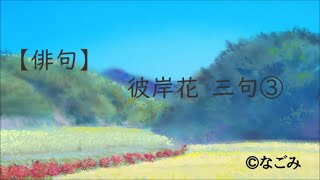 【俳句】彼岸花 三句③ #秋の句