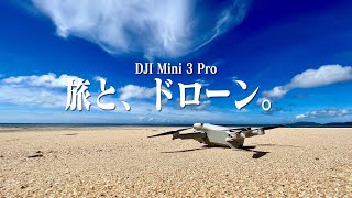 旅行のお供にDJI Mini 3 Proはいかが？沖縄、石垣島の帰省で使ってみた感想とDIPSにドローンを登録した話。