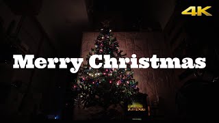 【4K】もうすぐクリスマス！クリスマスツリーの設置からライトアップまで