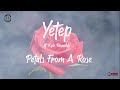 yetep - Petals from a Rose ft. Kyle Reynolds (Lyric Video) Proximity Release