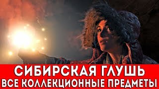 RISE OF THE TOMB RAIDER - СИБИРСКАЯ ГЛУШЬ (ФРЕСКИ,ДОКУМЕНТЫ,РЕЛИКВИИ,ТАЙНИКИ С МОНЕТАМИ)