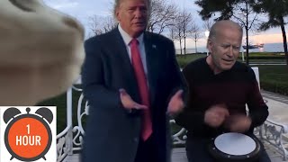 Trump & Bilal Göregen - Cat Vibing to levan Polkka - 1 Hour (Trump ve Bilal Göregen 1 saat)