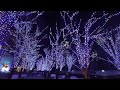 4k 2021 横浜 イルミネーション 夜景 みなとみらい グランモール公園 ヨコハマミライト yokohama japan nightview