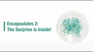 Encapsulates 2 The Surprise is Inside!