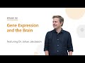 Gene Expression and the Brain featuring Dr. Johan Jakobsson | The Stem Cell Podcast