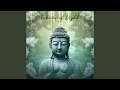Echoes of Light (432 HZ)