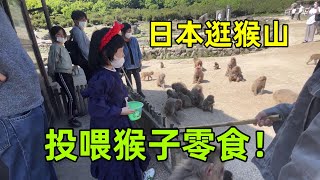 日本農村生活：逛猴山體驗零距離接觸，日本公婆嚇得不敢靠近！