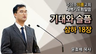 [서창동 주님뜻이룸교회] 20250218 새벽기도회 #사무엘하강해 #말씀갱해 (삼하18장 - 기대와 슬픔)