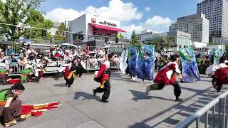 愛知淑徳大学「鳴踊」　にっぽんど真ん中祭り 2024  どまつりパレード演舞