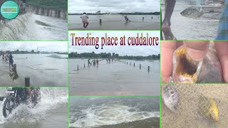 Trending place at cuddalore | Net fishing | Driving on water | Wonderful place at cuddalore