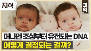 모든 생명의 생김새, 성격, 유전 질병 등.. 각자의 타고난 DNA는 '이렇게' 만들어진다│#EBS지식