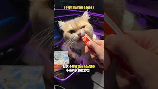 【#薄荷猫猫甜不甜】还以为有猫在手就赢定了! #双11百大萌主#顽皮鱼油猫条#不得不buy的国民好物