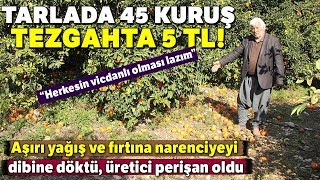 Tarladan 45 Kuruşa Alınan Narenciye Tezgahta 5 TL'ye Satılıyor