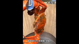 戶外捕魚：漁民用捕魚陷阱捕獲到滿滿一兜大青蟹 #戶外 #抓螃蟹 #捕魚陷阱