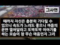 실화사연 경찰서에서 온 연락을 받고 혼비백산으로 간 현장에서 두 눈으로 보게 된 광경에 실신하게 되는데ㅣ라디오드라마ㅣ사이다사연ㅣ