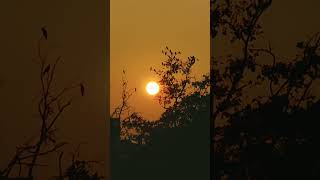 সূর্যাস্তের সময় ।। Sunset Shorts #sunset #nature #travel #youtube #shortvideo