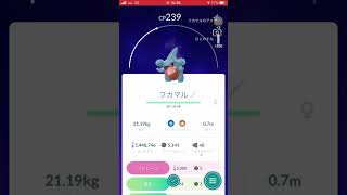 【初げっと】シャドウフカマル【ちょっと前の】 #ポケモンgo