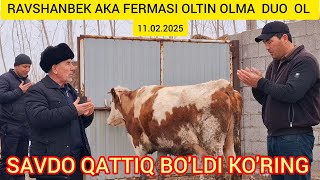 FERMADAN SIMENTAL SIGIRLAR SOTILMOQDA SHOSHILING @Hikmatillo_uz