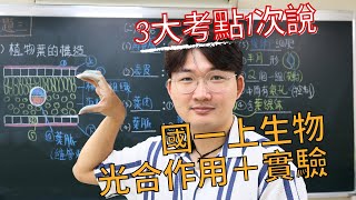 3-3 國一上生物【葉片構造+光合作用| 3大考點】考點翔細說