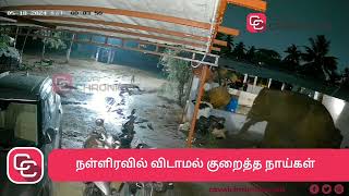 நள்ளிரவில் விடாமல் குரைத்த நாய்கள் ; இருட்டுக்குள் இருந்து வீட்டு அருகே வந்த பெரிய உருவம் #elephant