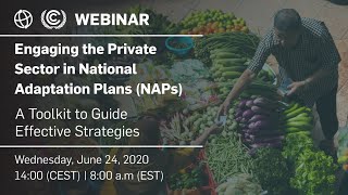 Engaging the Private Sector in National Adaptation Plans: A toolkit to guide effective strategies