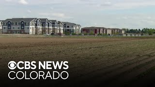 Worry surrounds Palizzi Farms after Colorado city grants eminent domain